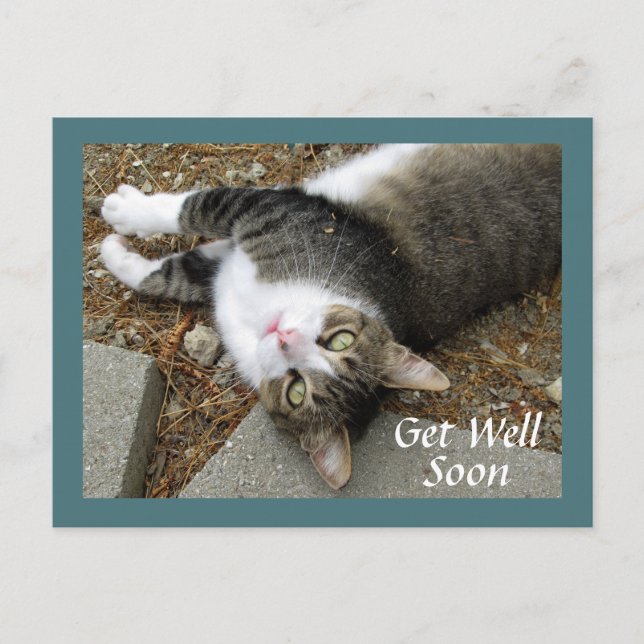 Tabby Cat with Dreamy Eyes Get Well Postcard (Front)
