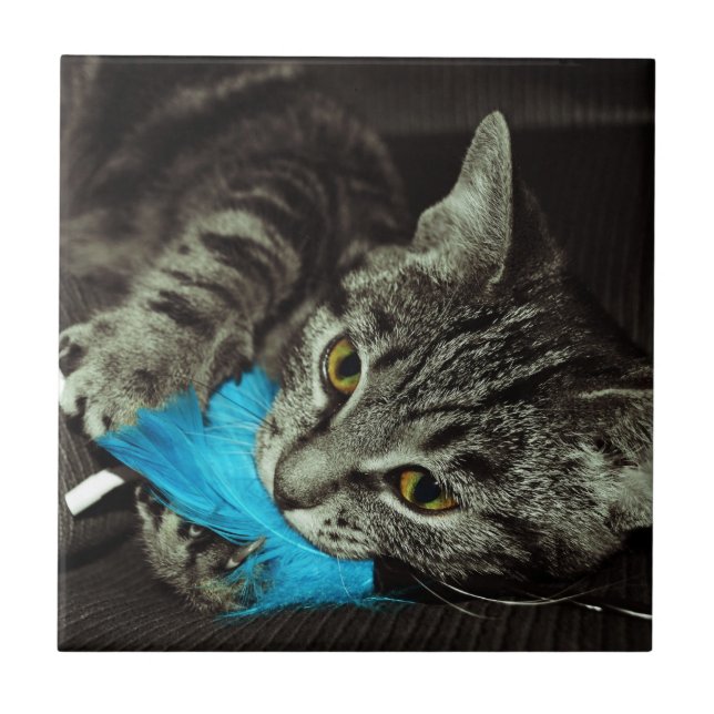 Tabby Cat with Feather by Shirley Taylor Tile (Front)