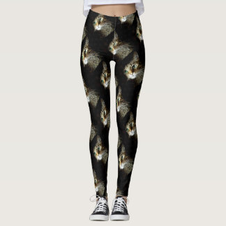 Tabby Cat With Green Eyes Isolated On Black Leggings