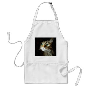 Tabby Cat With Green Eyes Isolated On Black Standard Apron