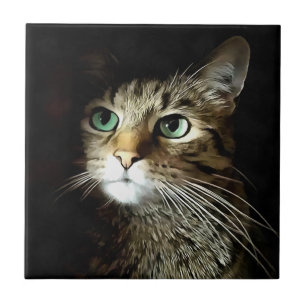 Tabby Cat With Green Eyes Isolated On Black Tile