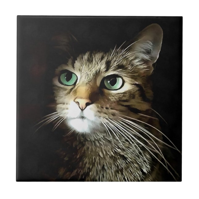 Tabby Cat With Green Eyes Isolated On Black Tile (Front)