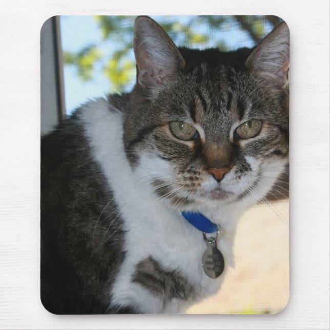 Tabby Cat with Pretty Eyes Mouse Pad (Front)