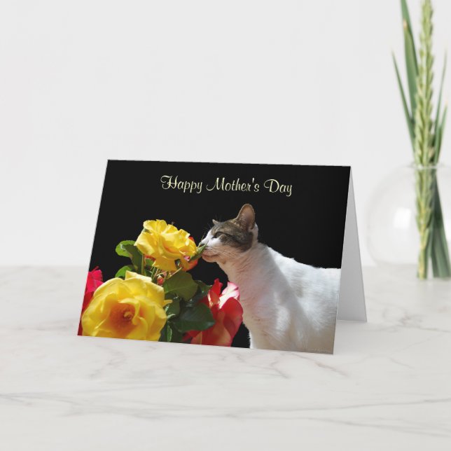 Tabby Cat with Roses Mother's Day Card (Front)
