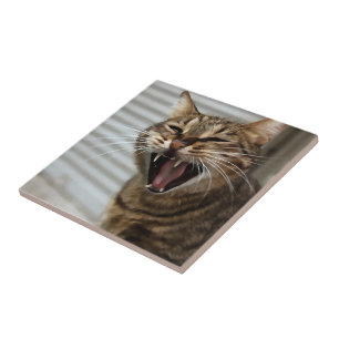 Tabby Cat Yawning Artistic Portrait Tile