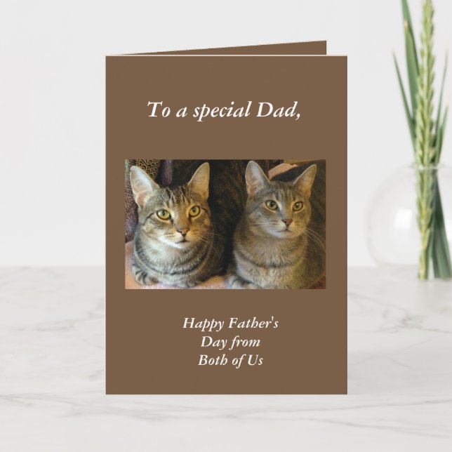 Tabby Cats Father's Day Greeting Card (Front)