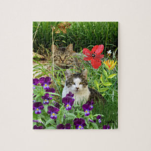 Tabby Cats in Garden Jigsaw Puzzle