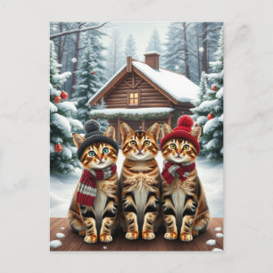 Tabby Cats in Preppy Winter Attire and Hat Winter Holiday Postcard