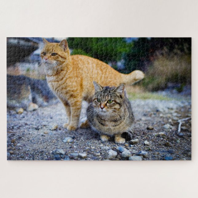 tabby cats puzzle  (Horizontal)