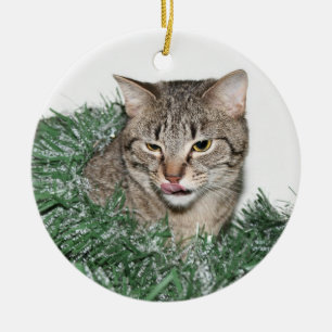 Tabby Christmas Ceramic Tree Decoration