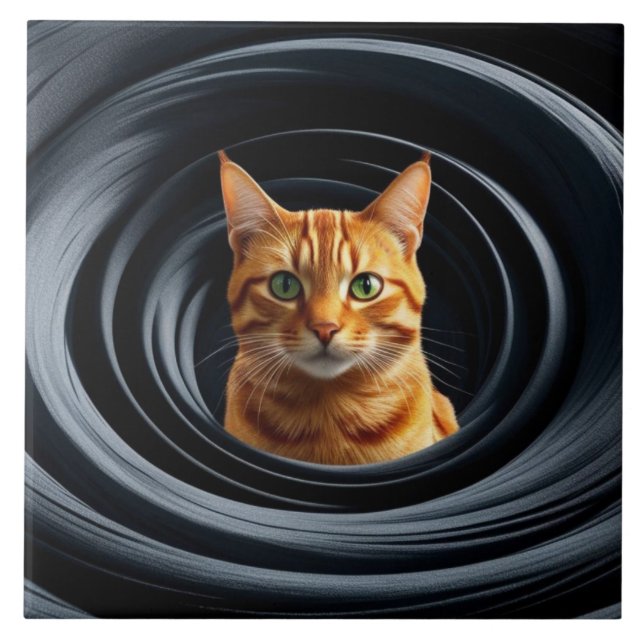 Tabby Gyre Decorative Tile (Front)