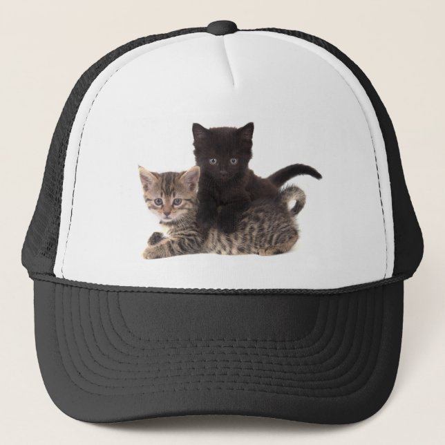 tabby kitten black kitten trucker hat (Front)