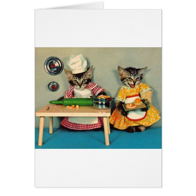 tabby kitten chef and tabby kitten assistant (Front)