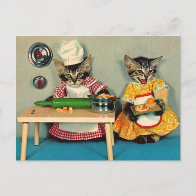 tabby kitten chef and tabby kitten assistant postcard (Front)