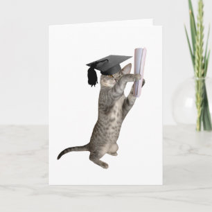 Tabby Kitten Graduation Card