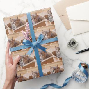 Tabby Kitten In Cardboard Box Wrapping Paper
