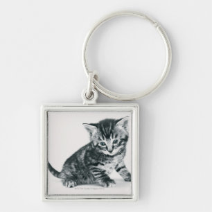 Tabby Kitten Key Ring