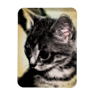 Tabby Kitten Magnet