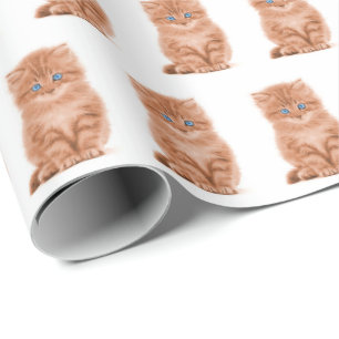 Tabby Kitten On White  Wrapping Paper
