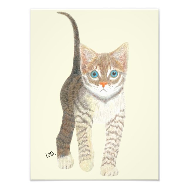 Tabby Kitten Poster (Front)