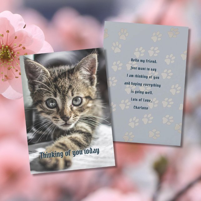Tabby Kitten Thinking of You Message Card (Creator Uploaded)