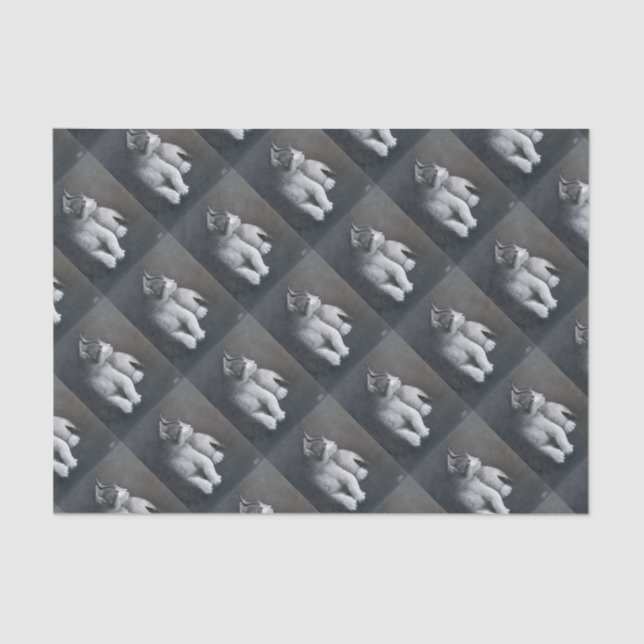 Tabby Kitten Tissue Paper (Front)