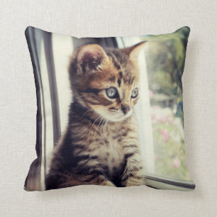 Tabby Kitten Watching Cushion