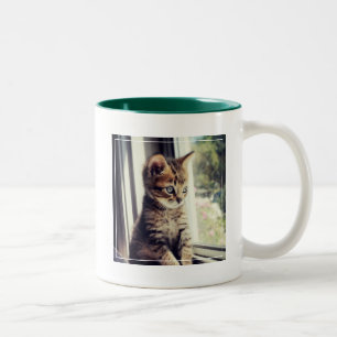 Tabby Kitten Watching Two-Tone Coffee Mug