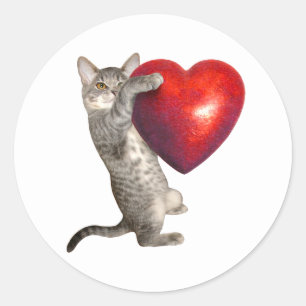 Tabby Kitten with Big Red Heart Sticker