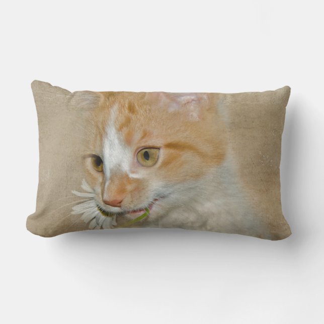 tabby kitten with daisy lumbar cushion (Front)