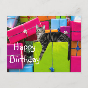 Tabby kitty cat birthday postcard