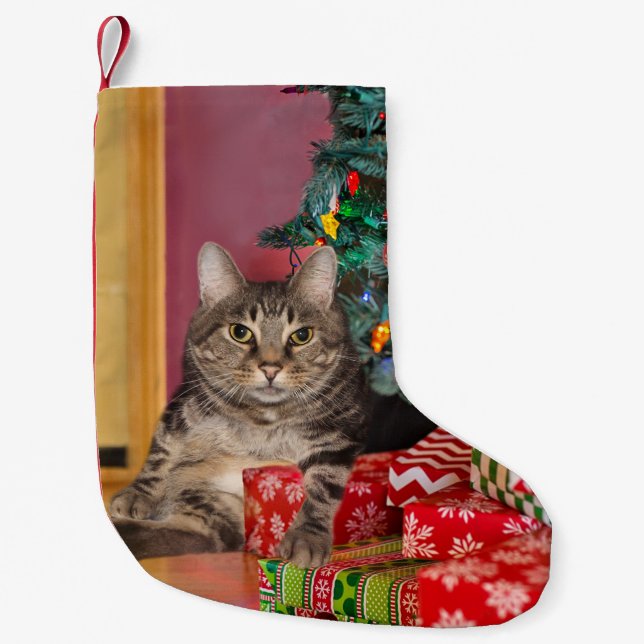 Tabby kitty cat Christmas Small Christmas Stocking (Front)