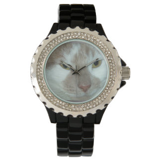 Tabby Kitty Cat Watch