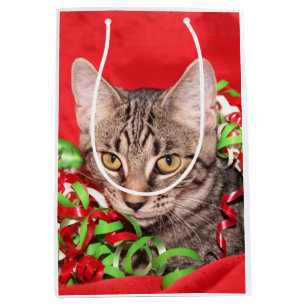 Tabby Kitty Christmas Medium Gift Bag