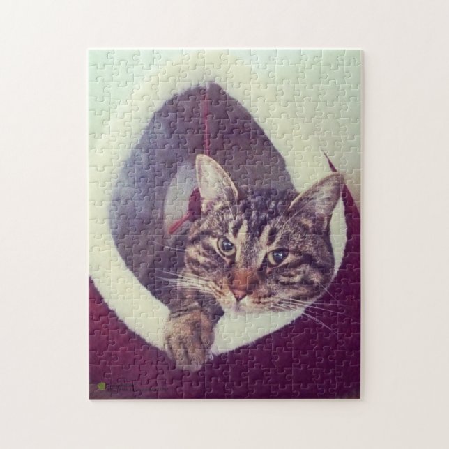 Tabby Kitty In Hut Close-Up Photograph Jigsaw Puzzle (Vertical)