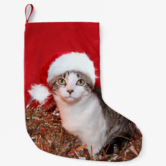 Tabby kitty in Santa hat Small Christmas Stocking (Front)