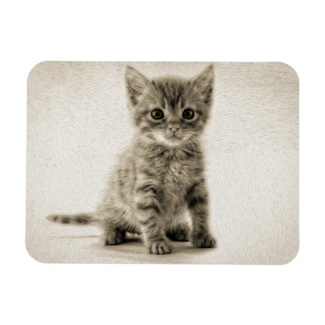 Tabby Kitty Magnet (Horizontal)