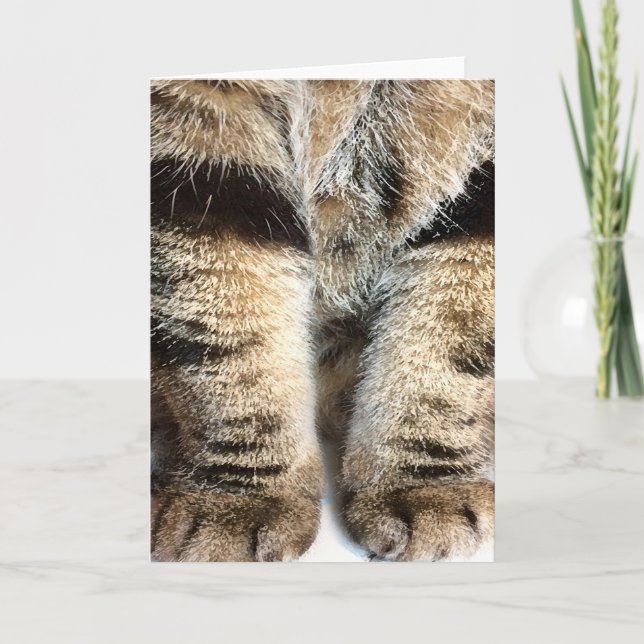 Tabby Legs Note Card - Blank inside (Front)