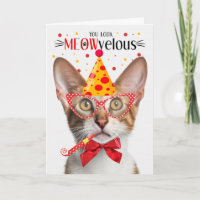 Tabby Oriental Shorthair Cat MEOWvelous Birthday