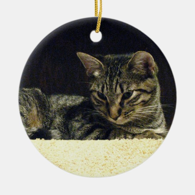 Tabby Ornament (Front)