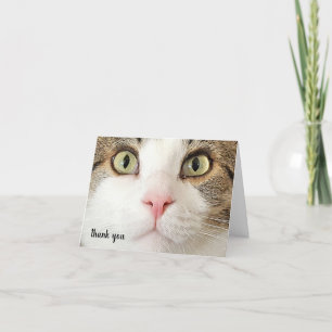 Tabby Pet Care Thank You  Card