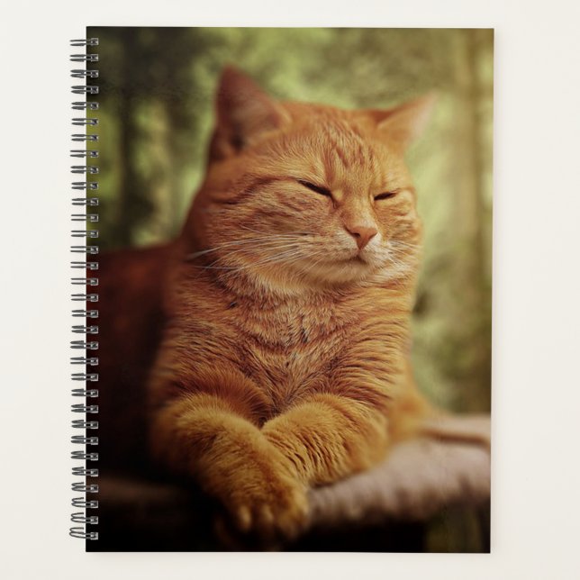 Tabby Planner (Front)