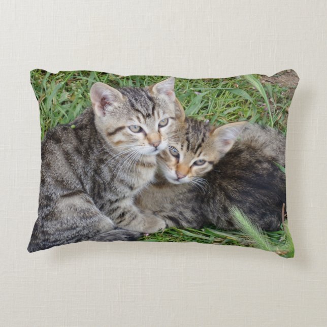 Tabby Sisters Throw Pillow (Back)
