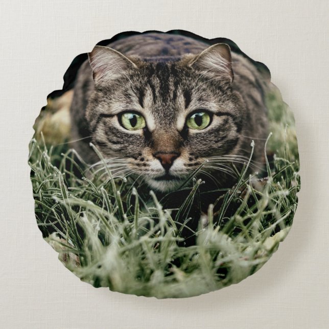 Tabby the Domestic Cat Round Cushion (Front)