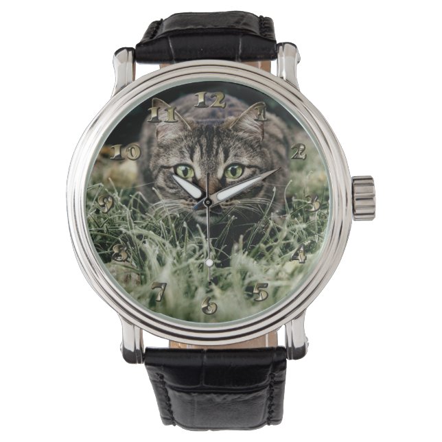 Tabby the Domestic Cat Watch (Front)