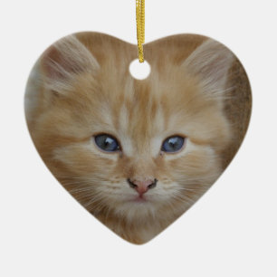 Tabby Tomcat Kitten Ceramic Tree Decoration
