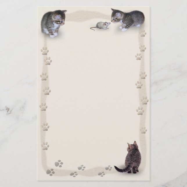 Tabby Tracks Stationery (Front)