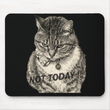 Tabby "Tude "NOT TODAY"