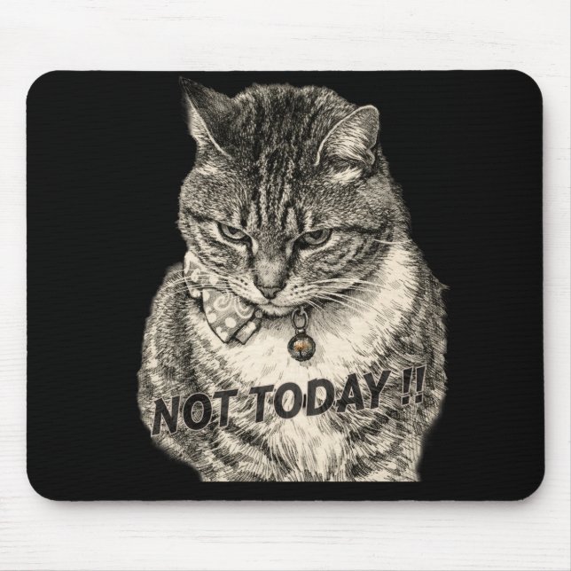Tabby "Tude "NOT TODAY" Mouse Pad (Front)