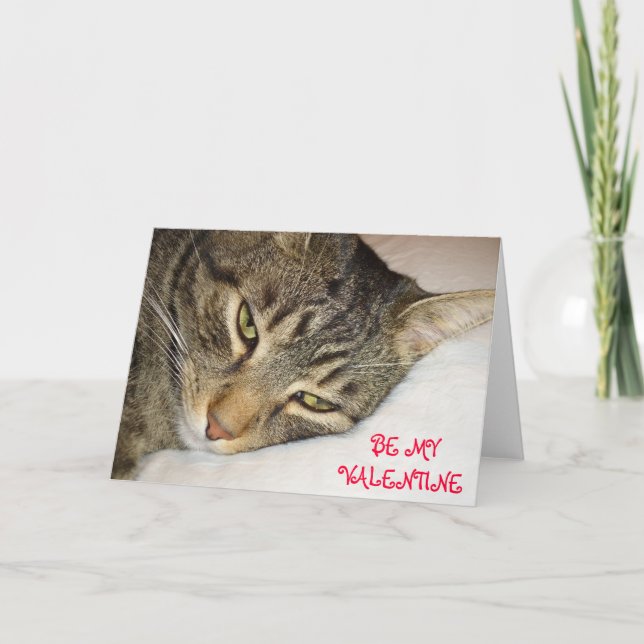 Tabby Valentine Holiday Card (Front)